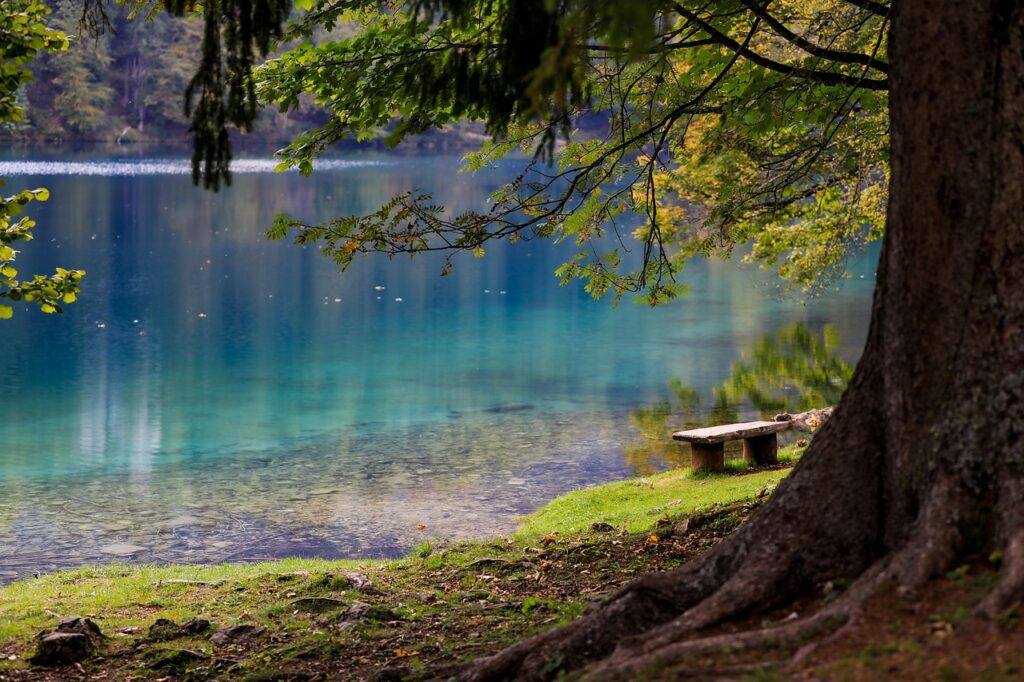 lake, forest, park, bench, tree, wood, water, reflection, nature, serenity, mood, scenery, scenic, lake, lake, lake, lake, lake, forest, park, park, bench, serenity, serenity, scenery, scenery