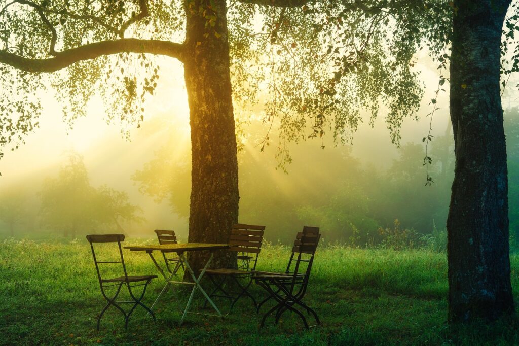 sunrise, morning, chairs, table, trees, foggy, misty, backlight, nature, happy, quiet, optimism, positive, beginning, green, leaves, garden, garden, garden, garden, garden, garden